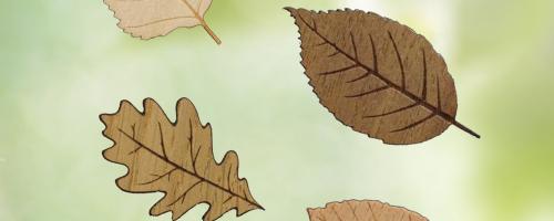 Set of decorative wooden leaves made with Laser wood cutting