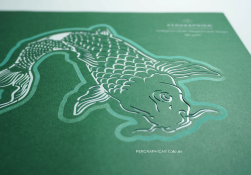 Koi fish cut on Pergraphica® Colours